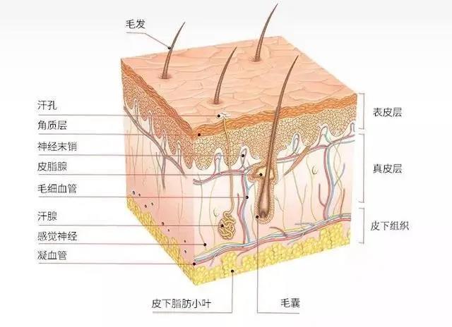 微信圖片_20211216110627.jpg