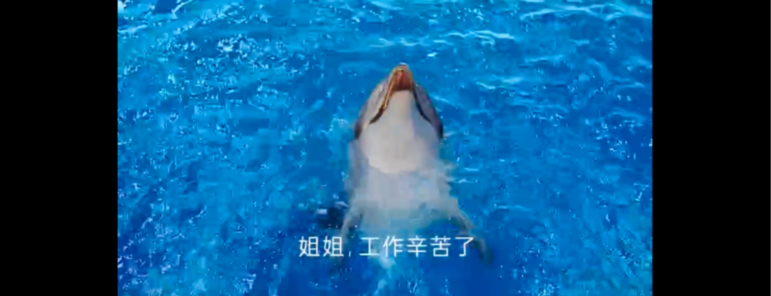 上海十大化妝品代加工廠_廣告宣傳不當(dāng)引爭議