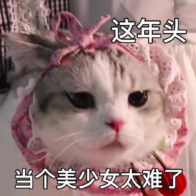 微信圖片_20221115171538.jpg