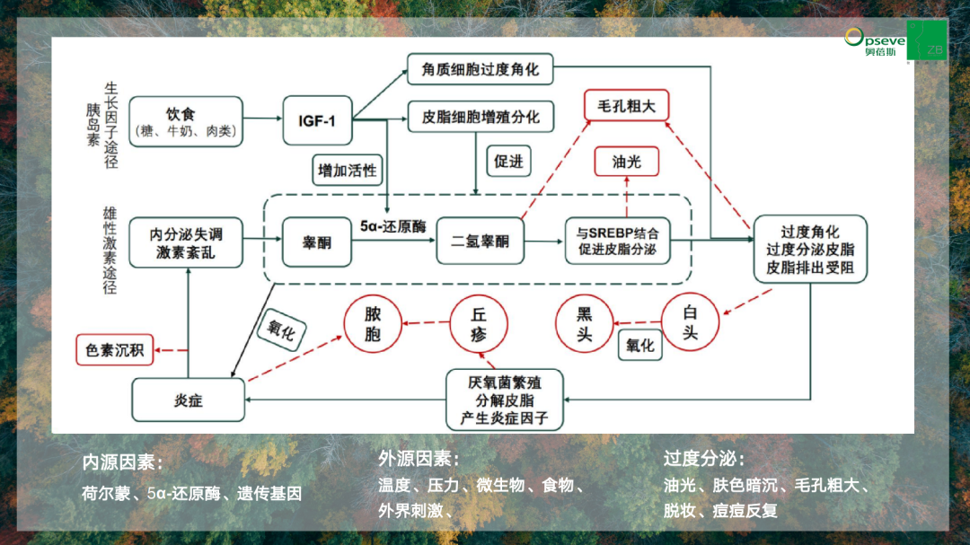微信圖片_20221219153834.png