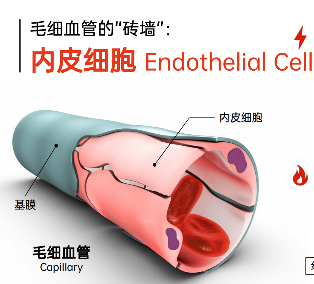 微信圖片_20230911162909.png