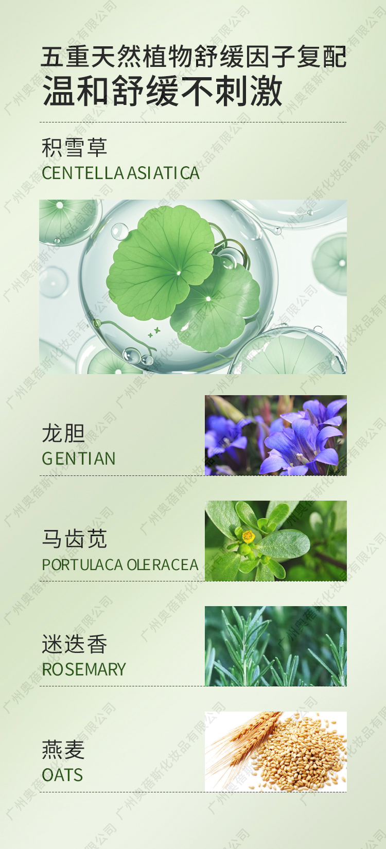 積雪草柔軟褪紅舒緩面膜代加工詳情介紹2.jpg