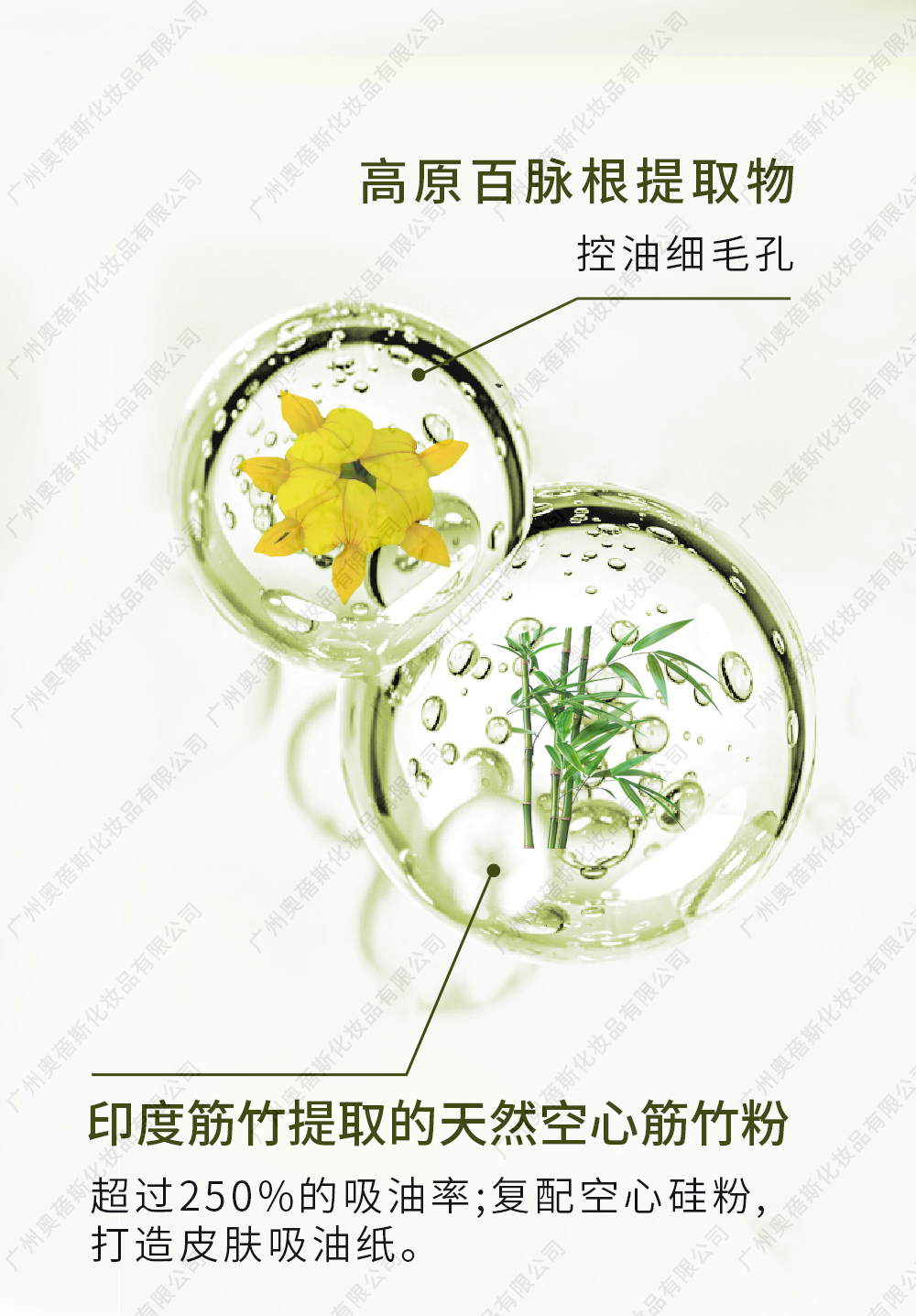 竹萃水粉雙層控油水OEM代加工詳情介紹2.jpg