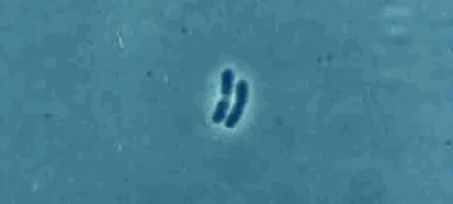 微信圖片_20210123111548.gif