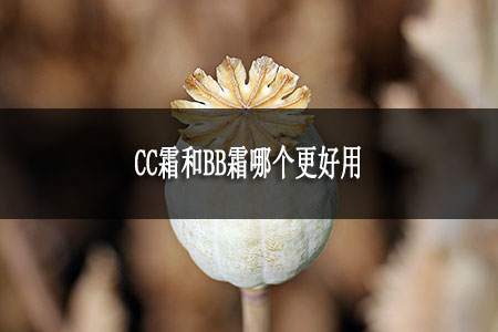 CC霜和BB霜哪個(gè)更好用