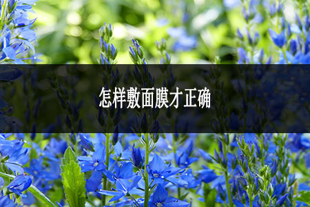 面膜原理和起源歷史是怎樣