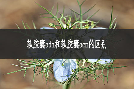 軟膠囊odm和軟膠囊oem的區(qū)別